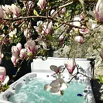 Pieds Dans L'eau Private Wellness Bordure De Meuse בית נופש לוסטין