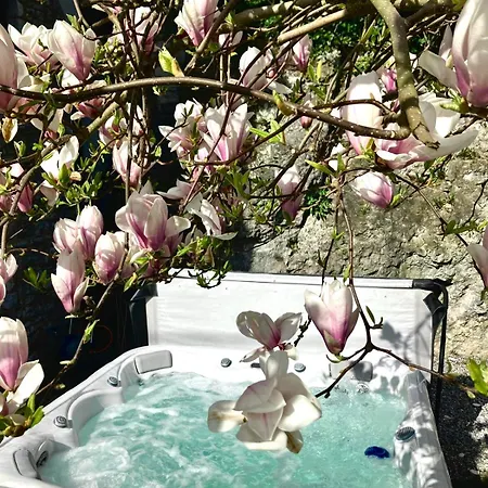 Pieds Dans L'eau Private Wellness Bordure De Meuse 펜션 루스틴